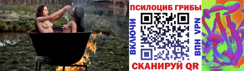 Галлюциногенные грибы Psilocybe  Железноводск 